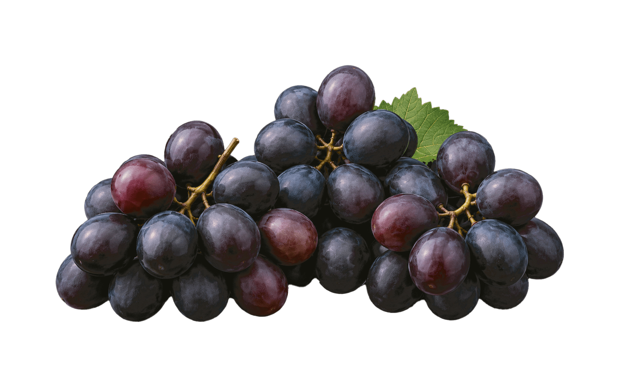 Falcon Black Grape