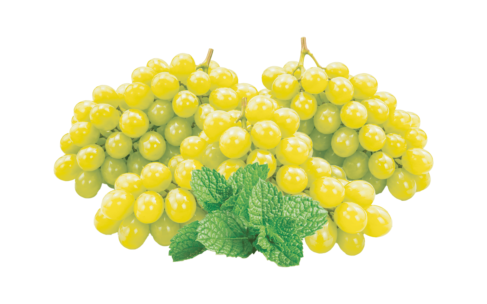 Falcon Grape Mint