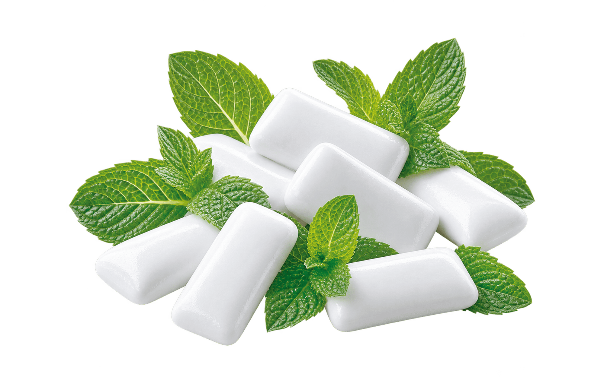 Falcon Gum Mint