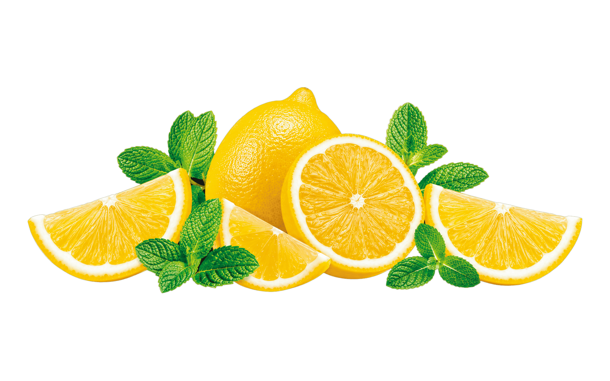 Falcon Lemon Mint