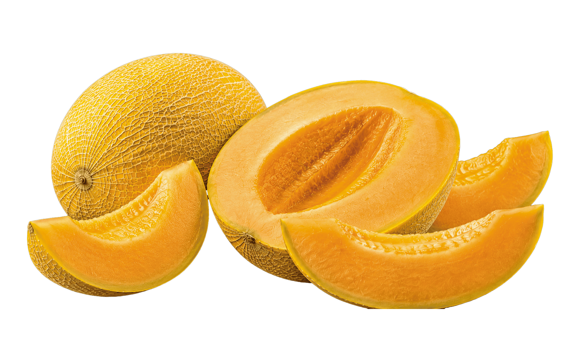 Falcon Melon