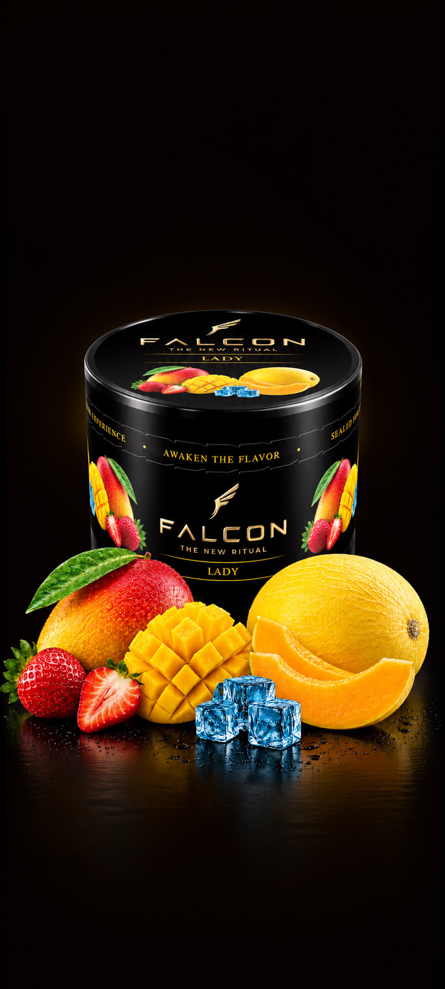 Falcon Lady